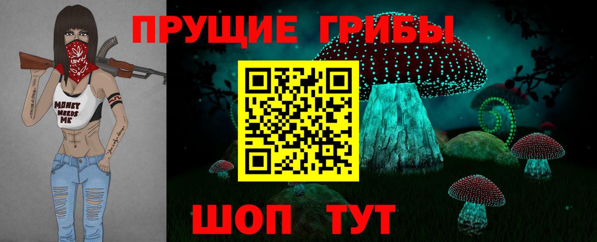 как найти   Вход с VPN  Куйбышев  Псилоцибиновые грибы Cubensis 