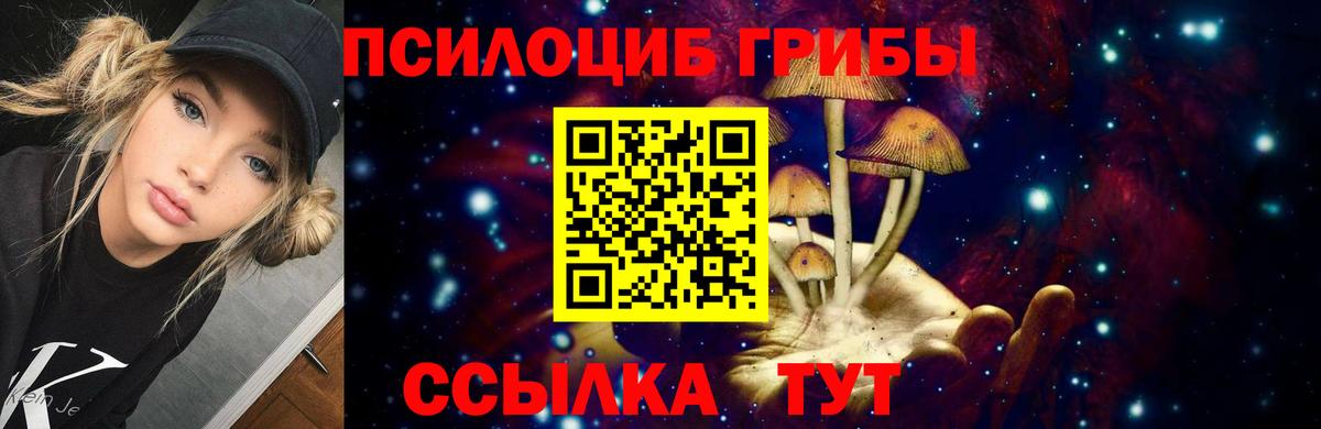 Псилоцибиновые грибы ЛСД Куйбышев