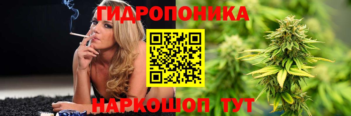Конопля индика  Канабис план  Куйбышев  Шишки марихуана VHQ  Бошки Шишки MAZAR  Вход с VPN 